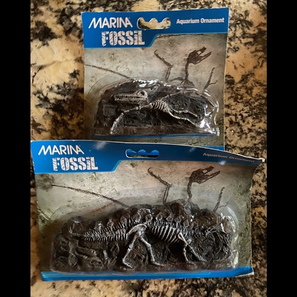 Fossil Aquarium Ornaments & Air Diffuser